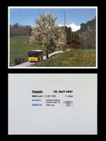 Paspels Tomils Domleschg Postauto MAN P 23018 Foto Druck A5