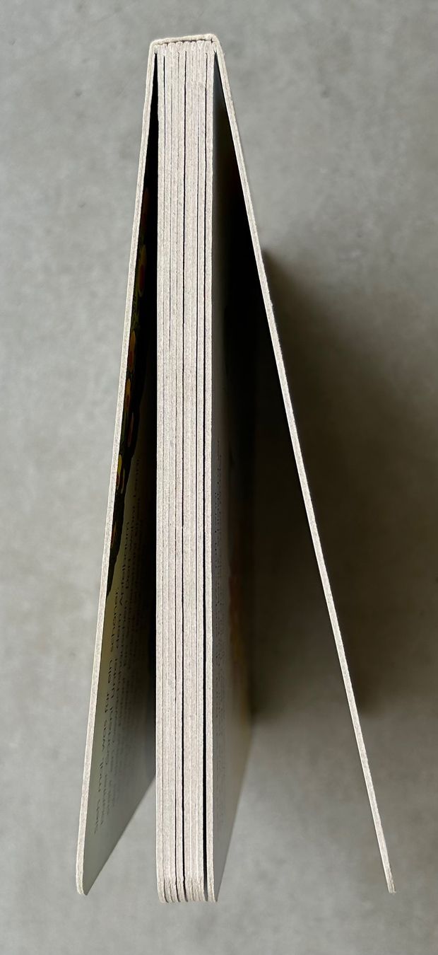 Libri: Lenni und Lu werden Freunde – Usato da Ittigen venduto da labrador35 4