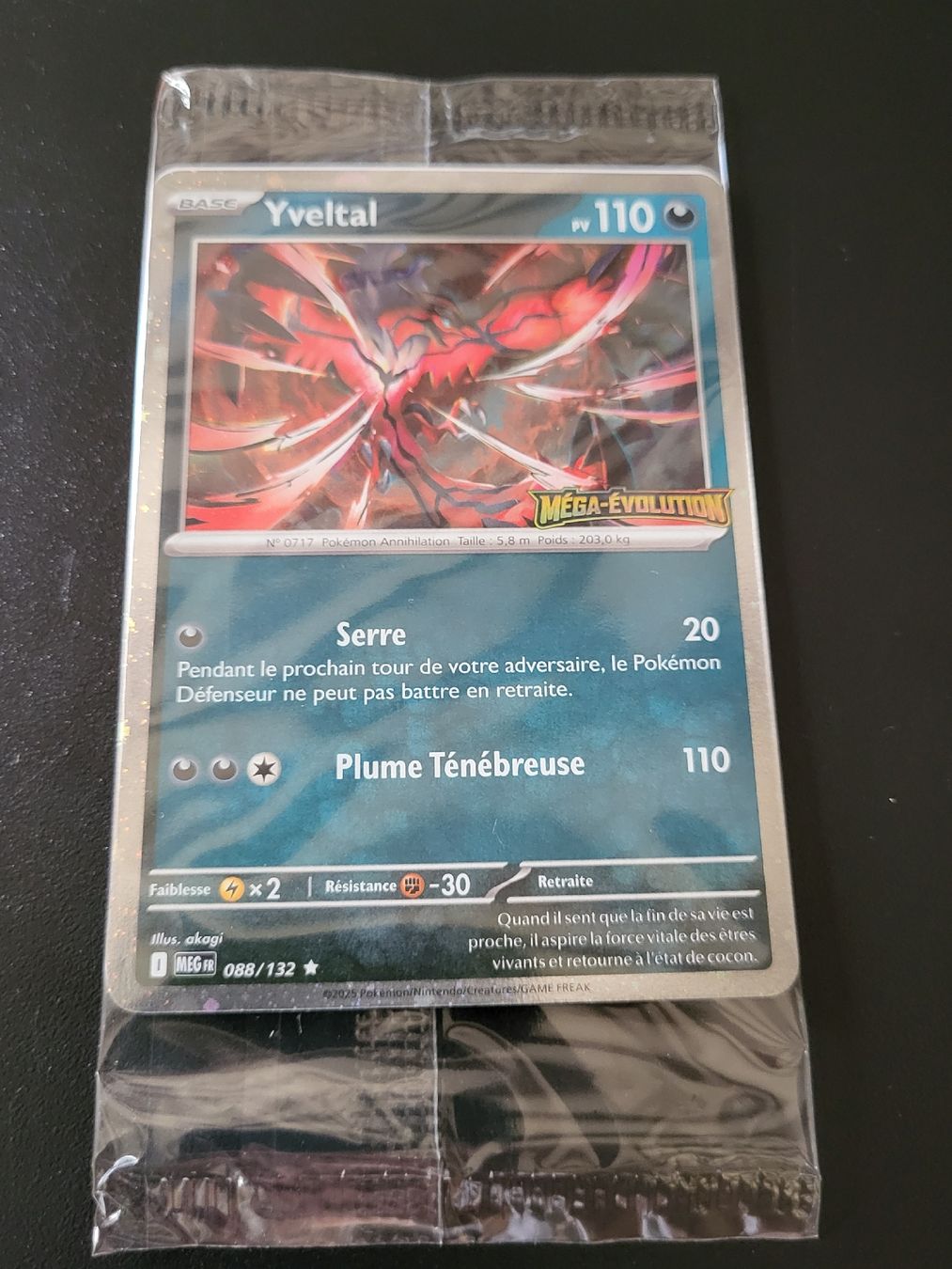 Pokémon Carte collezionabili: Promo Yveltal Mega Evolution – Nuovo e nell'imballaggio originale da St-Sulpice VD venduto da cel_ysf7 1