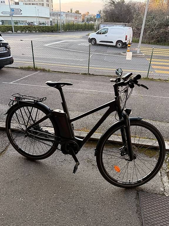 Biciclette: RALEIGH 45kmh à courroie 1000.- – Usato da meyrin venduto da ebehar 1