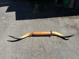 Dekohörner mit Lederband Leder umwickelt gebraucht
