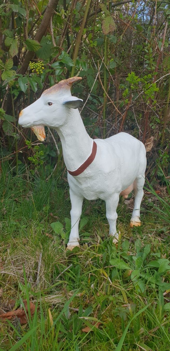 Statuette: Ziege – Nuovo e nell'imballaggio originale da Bern venduto da zwirbelch 5
