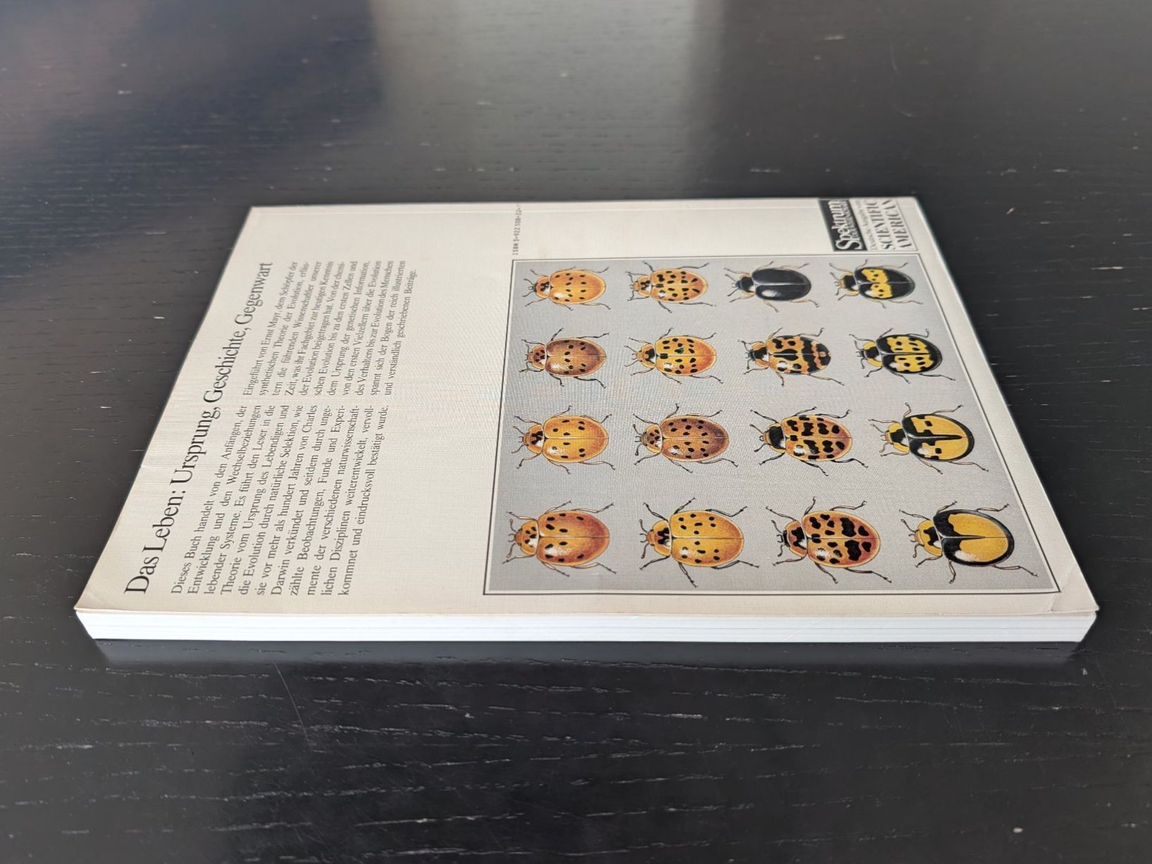 Livres: Spektrum der Wissenschaft: Evolution – D'occasion à Thalwil par sultan03 3