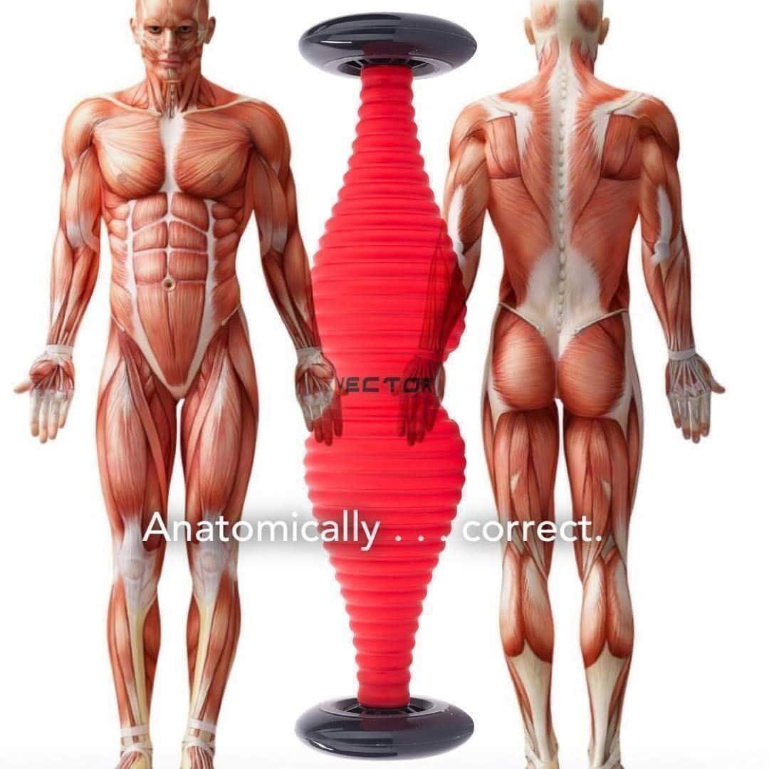 Figuren: Anatomisch korrekte Faszienrolle – Neu und originalverpackt aus Uzwil von Robi007 1