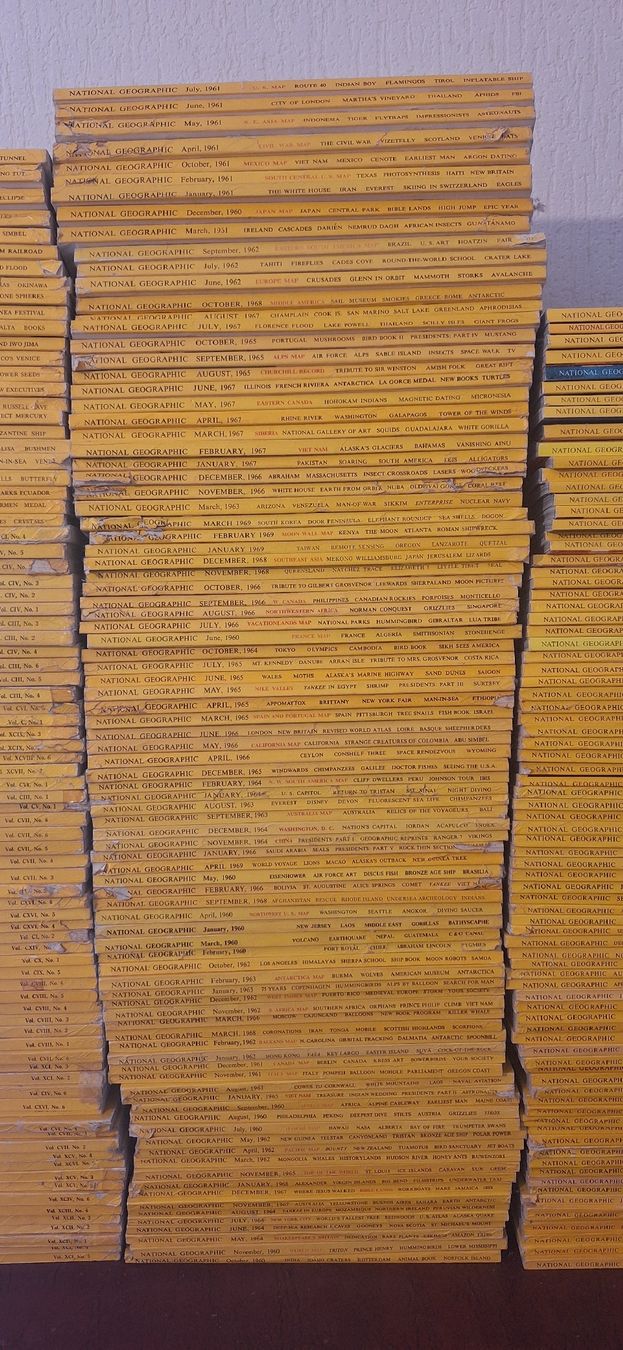Riviste & Magazine: collection National Geographic – Usato da Epalinges venduto da luc_wx79 3