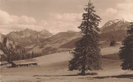 Lenk BE Haslerberg Alpen Landschaft