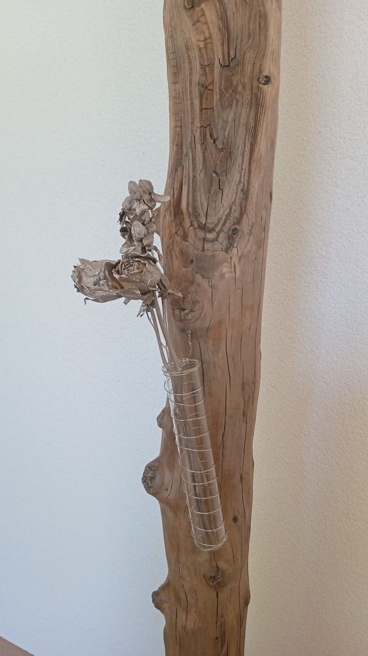 Holzartikel: Wunderschönes Schwemmholz mit Betonsockel – Neu und originalverpackt aus Widnau von ForViolin 1