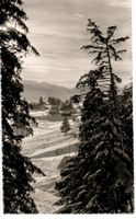 Vue sur Crans s.S. 1956