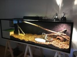 Terrarium mit Zubehoer und Lampe guter Zustand