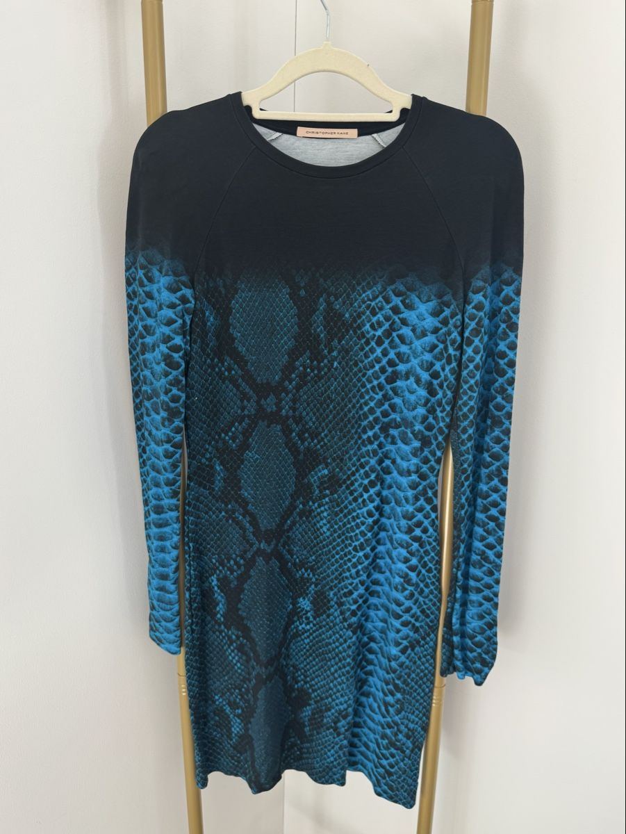 Vestiti: CHRISTOPHER KANE Colorblock Snake Print – Usato da Zürich venduto da di_archive 6