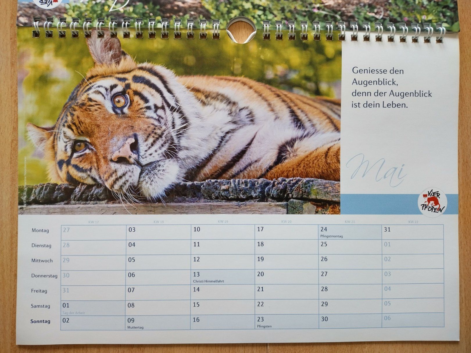 Calendari: Tierkalender 2021 - Wandkalender – Nuovo (secondo la descrizione) da Jona venduto da Argus36 4