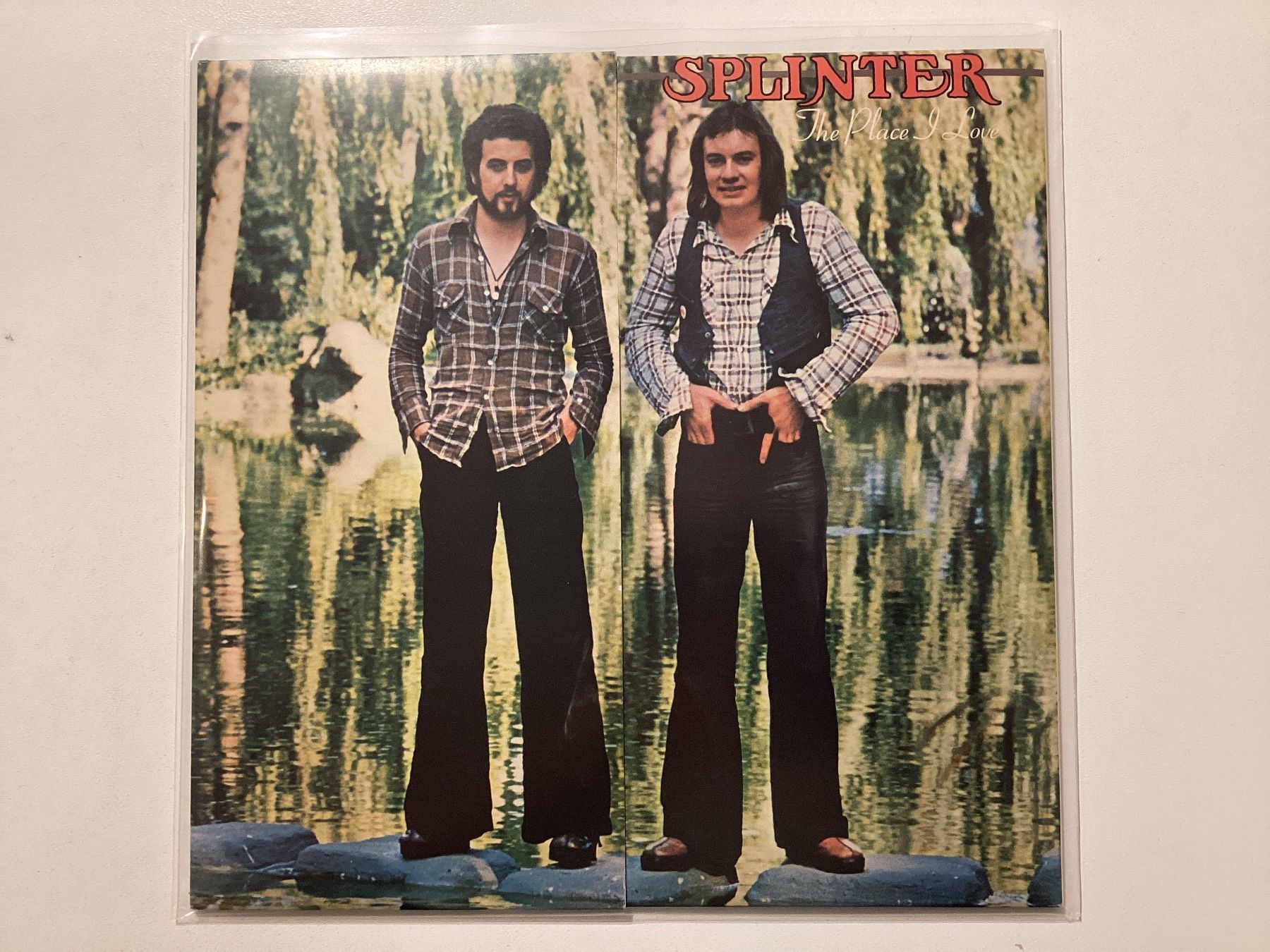 Dischi in vinile: Splinter LP - The Place I Love – Usato da Gutenswil venduto da Hamzian