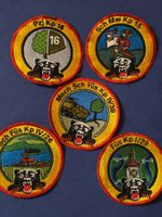 Infanterie Abzeichen Bern 5 Badges Original