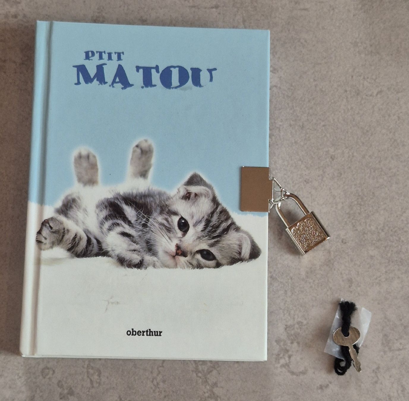 Libri: Neues Katzen Tagebuch mit Schlüssel  – Nuovo e nell'imballaggio originale da Höfen b. Thun venduto da enr_7xsd 2