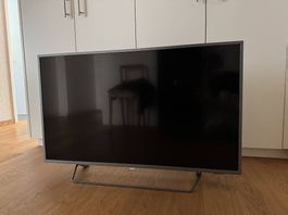 Philips 7300 series 43"