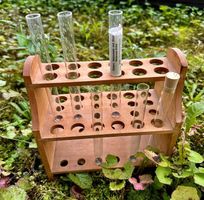 Antiker Reagenz-Glas Ständer aus Holz
