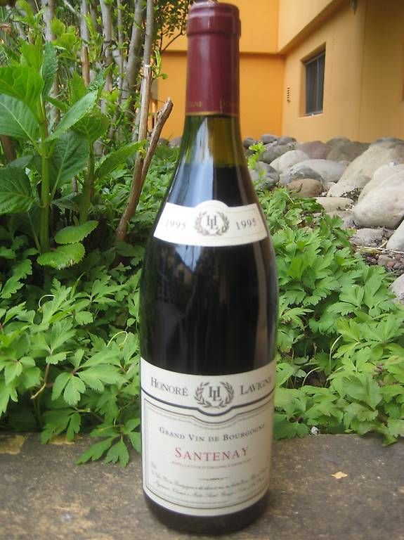 Vins: Wein Santenay, Jg. 1995 – D'occasion à Horgen par pet_n5kr