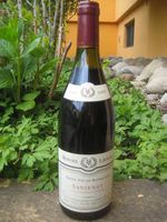 Wein Santenay, Jg. 1995