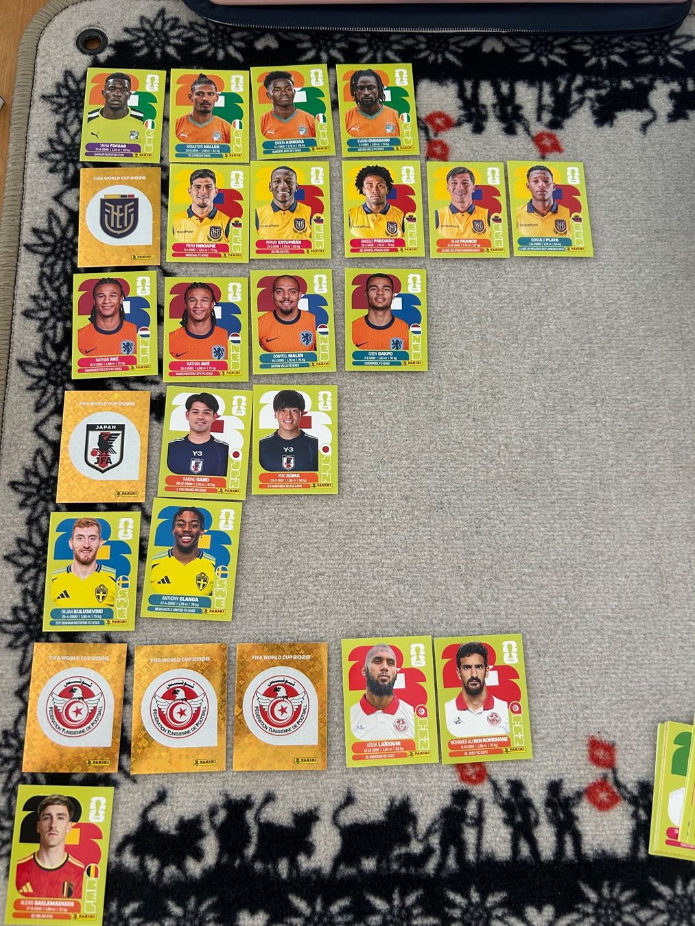Panini Sammelbilder & Trading cards: Échange/Vente Panini 2026 – Gebraucht aus Troistorrents von ElaABesse1 4