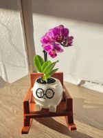 Dondolo decorativo con vaso e occhiali – Stampa 3D artigiana