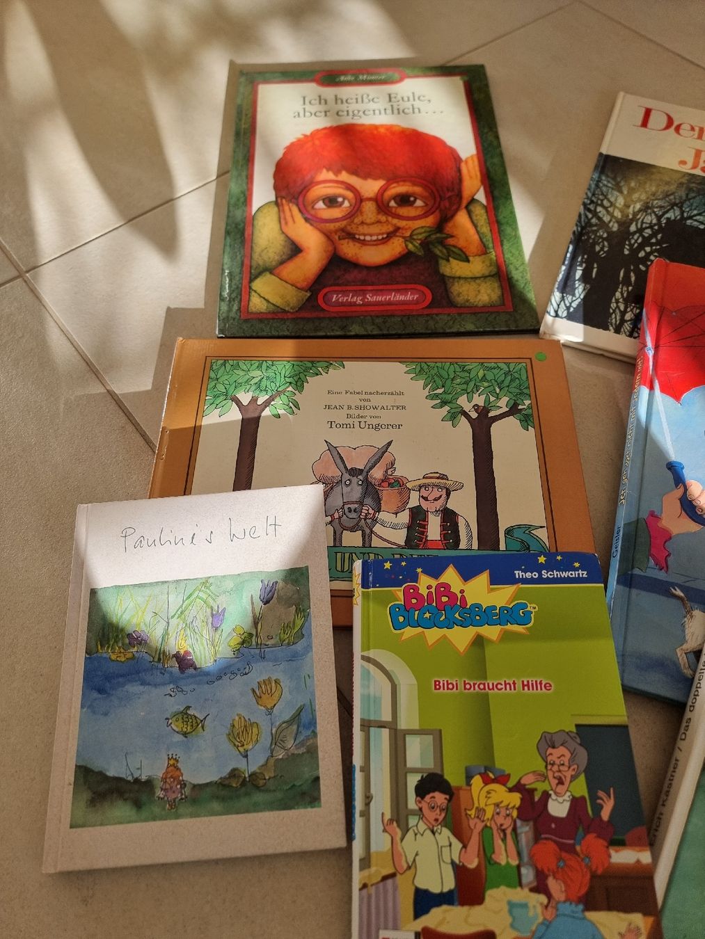 Libri: Bücherpaket mit 11 Büchern – Usato da Ortschwaben venduto da Patrick1978 1