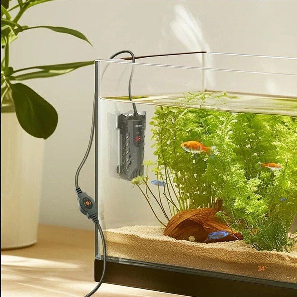 Radiatori: Anzeige Mini Aquarienheizung mit digitaler LED – Nuovo (secondo la descrizione) da Kirchdorf AG venduto da csnmclub 1