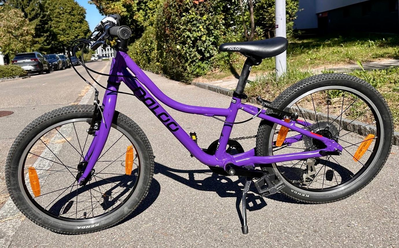 Naloo Velos: Naloo Chameleon 20'' Kindervelo – Gebraucht aus Zollikerberg von Kesuari