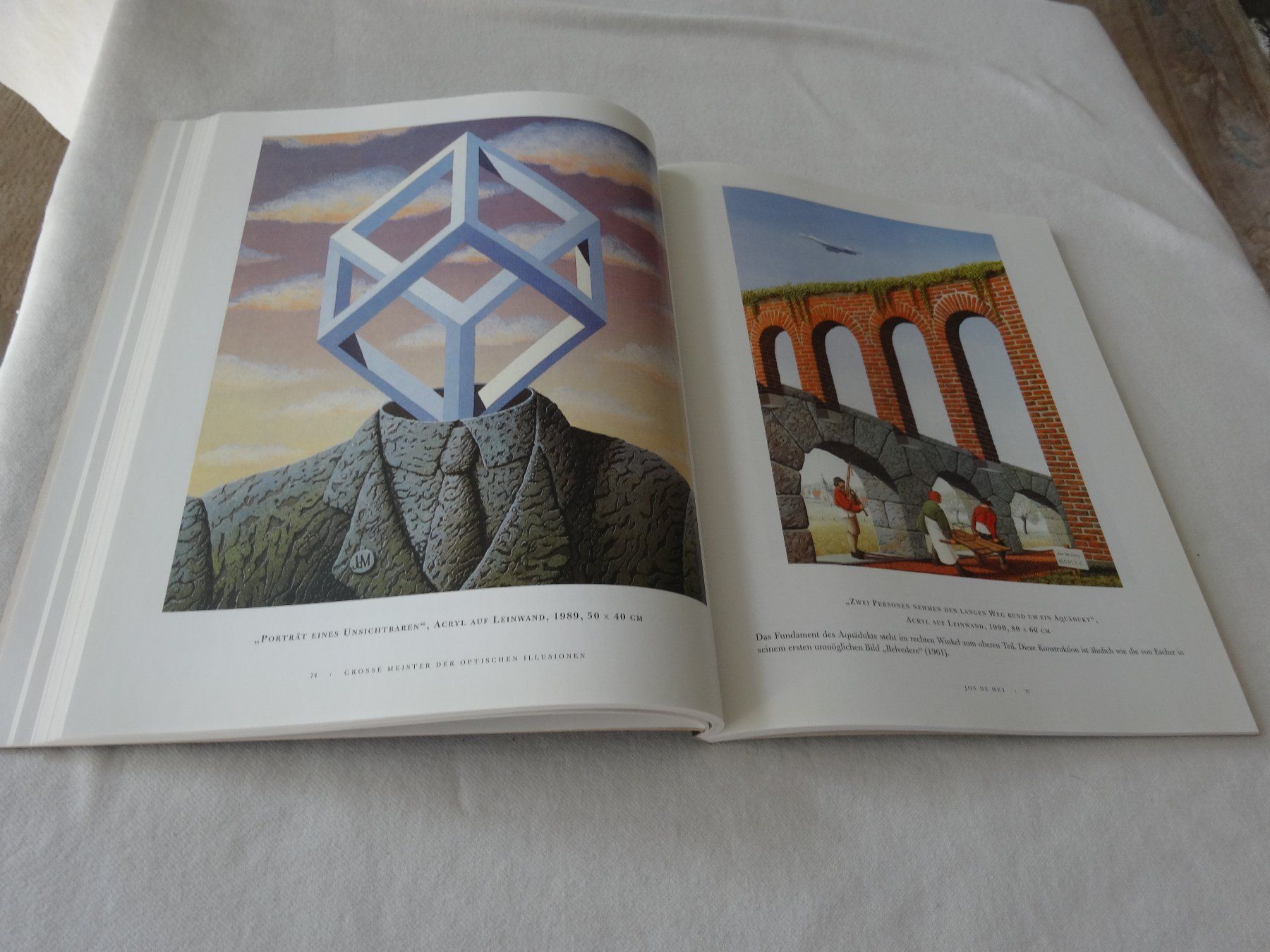 Libri: Meisterwerke Optischen Illusionen Al Seckel – Usato da Neerach venduto da jenny062 7