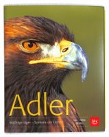 ADLER 🦅 Mächtige Jäger - Symbole der Freiheit (BLV) NEU