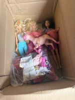 3 Barbies, Zubehör & 1 Pegasus