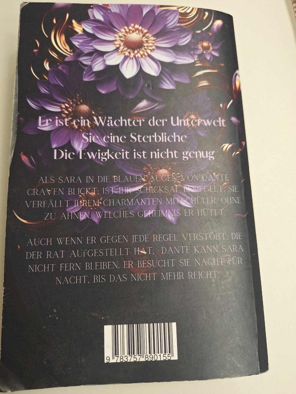 Libri: Buch Wächter der Unterwelt Teil 1 Sandra Todorovic – Usato da Brittnau venduto da Norge77 1