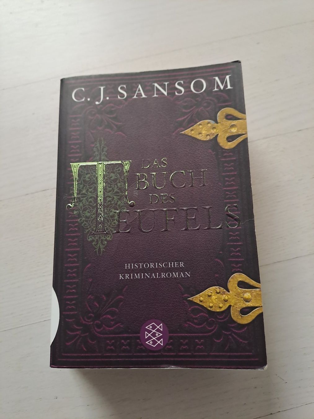 Livres: Das buch des Teuffels – D'occasion à Grenchen par panebianco 2