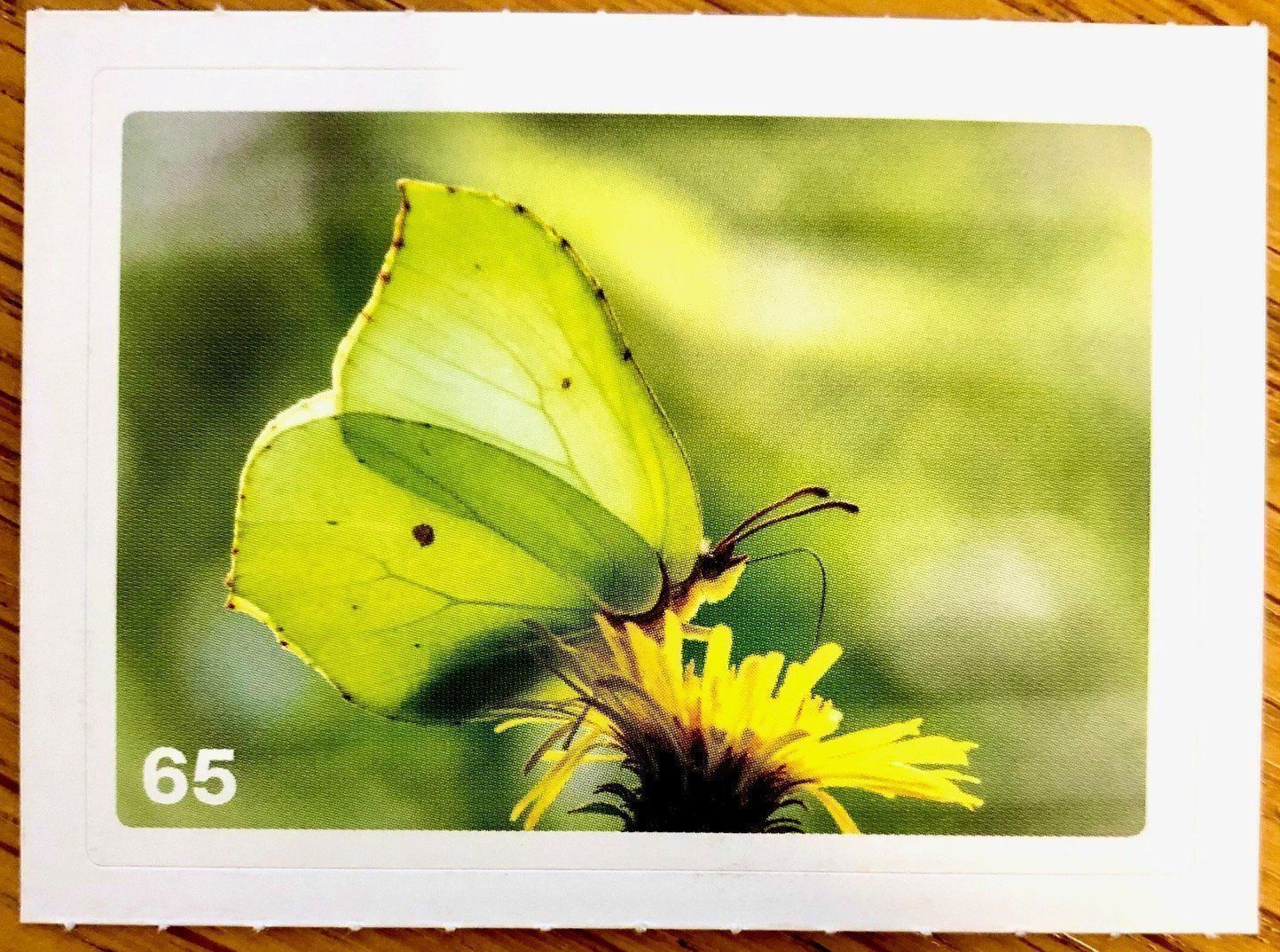 Migros Carte collezionabili: Migros Nature Detectives - Bild Nr. 65 – Nuovo (secondo la descrizione) da Oberrieden venduto da Zimmerberg10