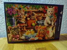1000er Puzzle, Kätzchen in Gartenregalen