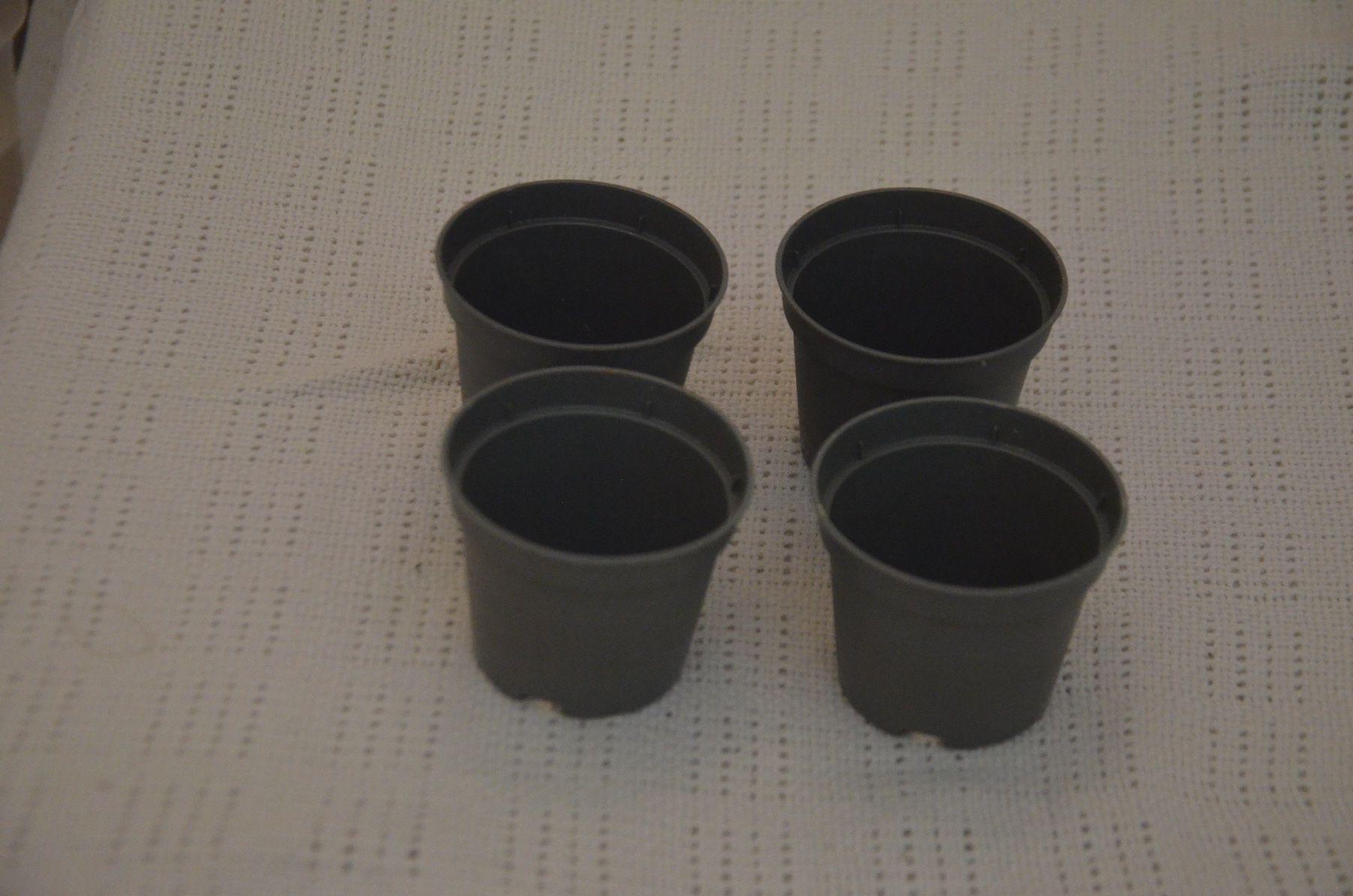 Vasi & Recipienti: 4 STUCK - CACTUS VASE – Usato da Chiasso venduto da Dolly015