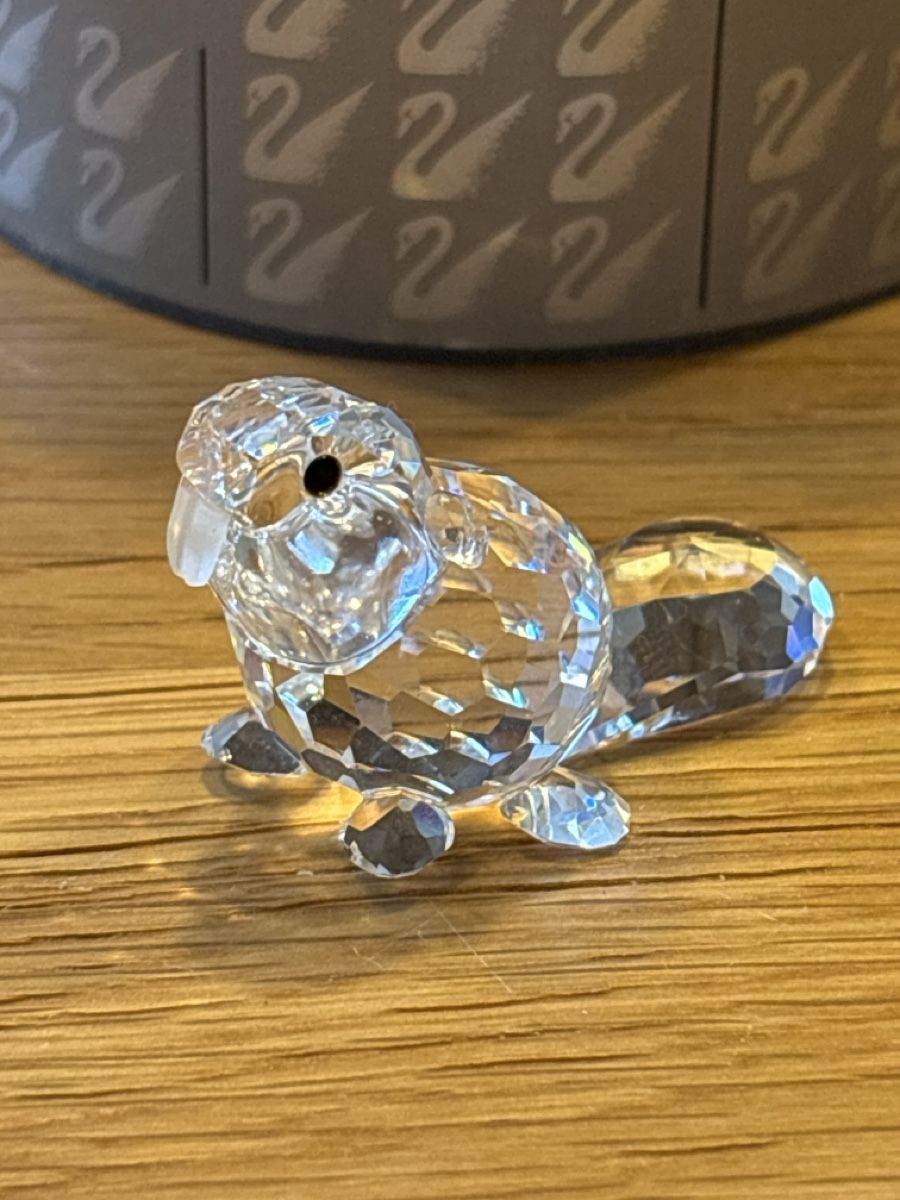 Swarovski Tutte le decorazioni: Swarovski Beaver mit Originalbox – Usato da La Plaine venduto da Spooty67