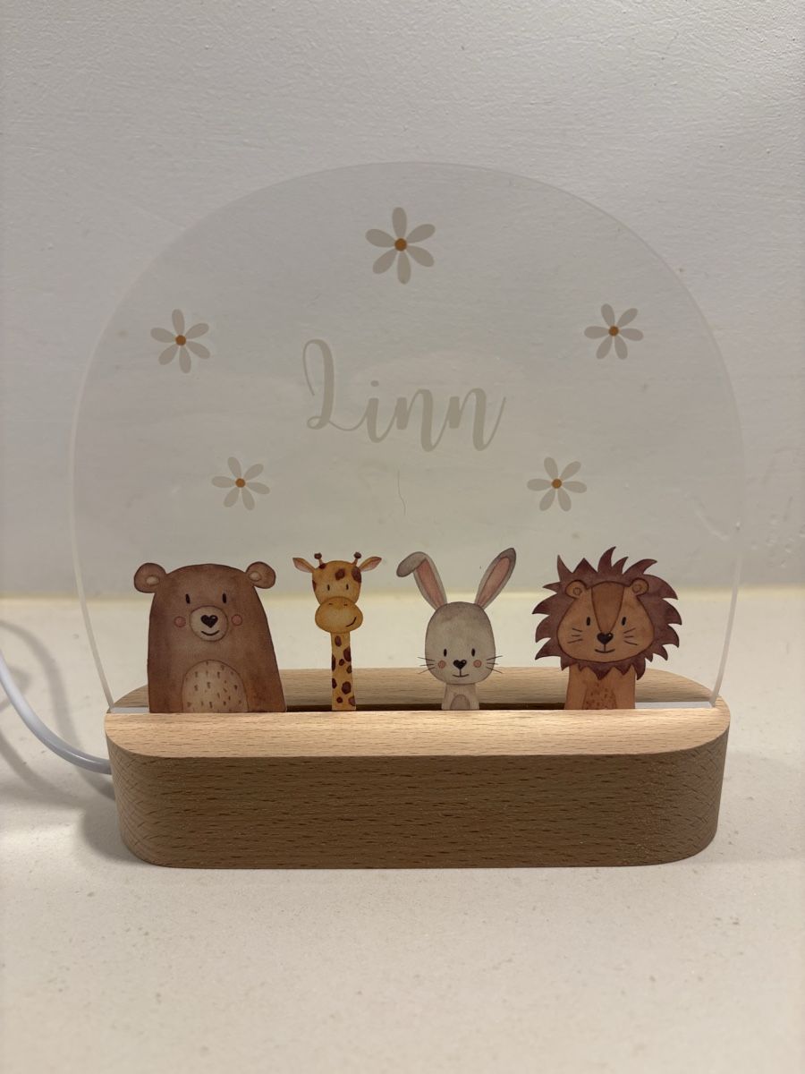 Lampen: Namensschild LINN als LED-Lampe – Gebraucht aus Felsberg von Riggel 1