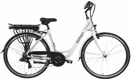 Elektrofahrrad