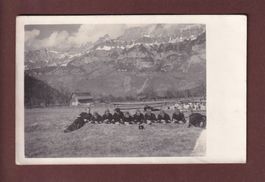 Foto - Soldaten vor CHURFIRSTEN