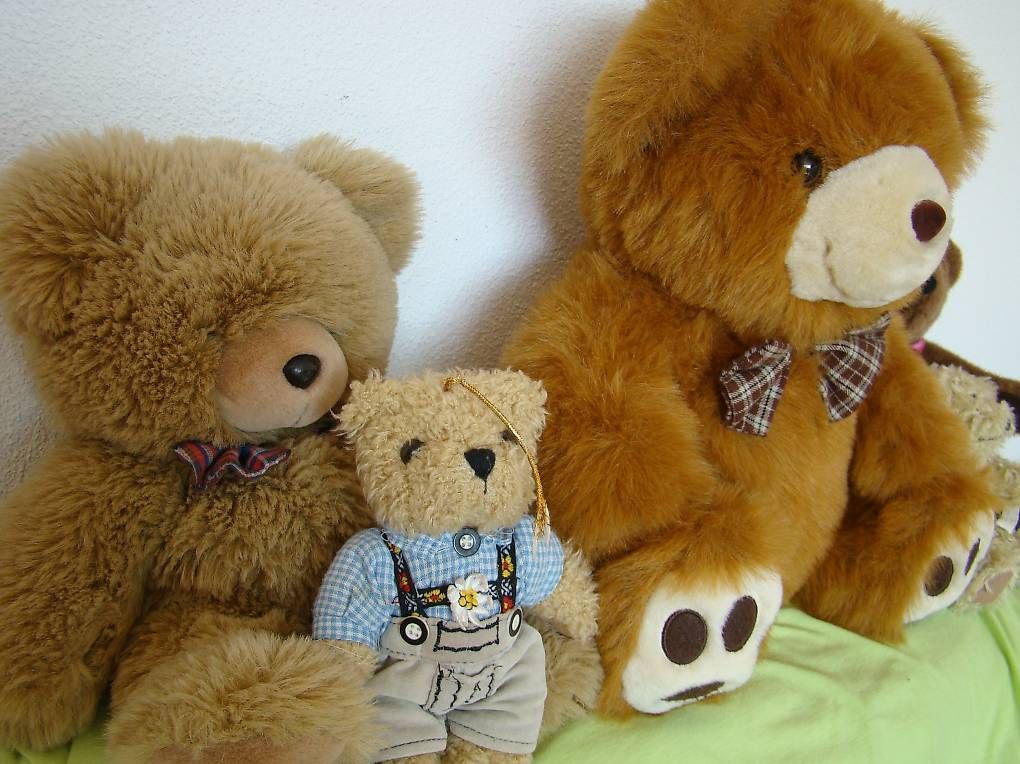 Giocattoli: 6 Teddybären, von 15 bis 45 cm – Usato da Rothenburg venduto da Bison2 1