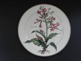 Grosse Platte / Teller ø 31 cm * BOTANICA * Villeroy & Boch