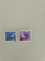 2001 Regenbogenfische