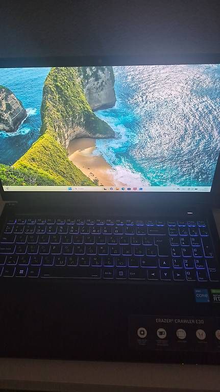 Notebook: Gaming Laptop Medion Erazer Crawler E30 – Usato da Winterthur venduto da sen_6dny 2