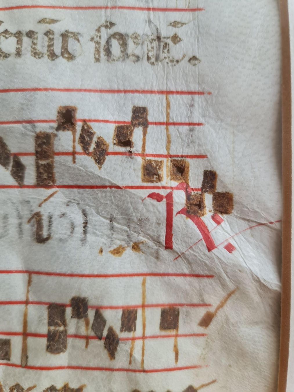 Libri: Spätmittelalterliches Antiphonarblatt - Antiphonale Exemplar – Usato da Degersheim venduto da Tosam_Degersheim 6
