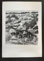 Grosse Lithografie / EA von HUGO WETLI  1967     (ID B5743)