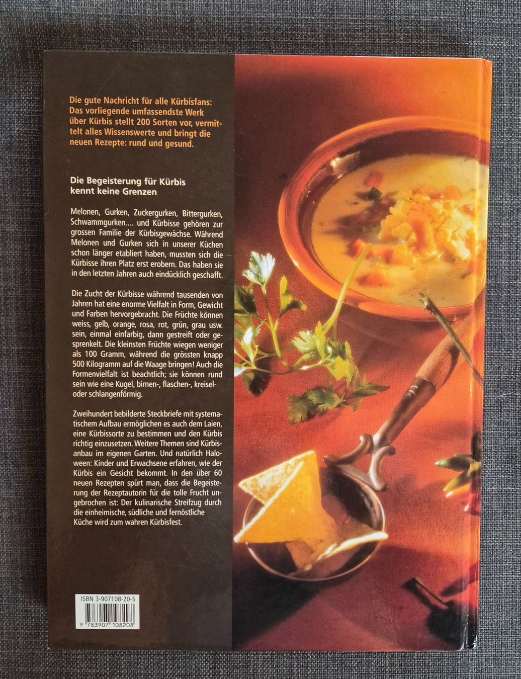 Libri: Das grosse Buch vom Kürbis – Usato da Küssnacht am Rigi venduto da Hannibal06 1
