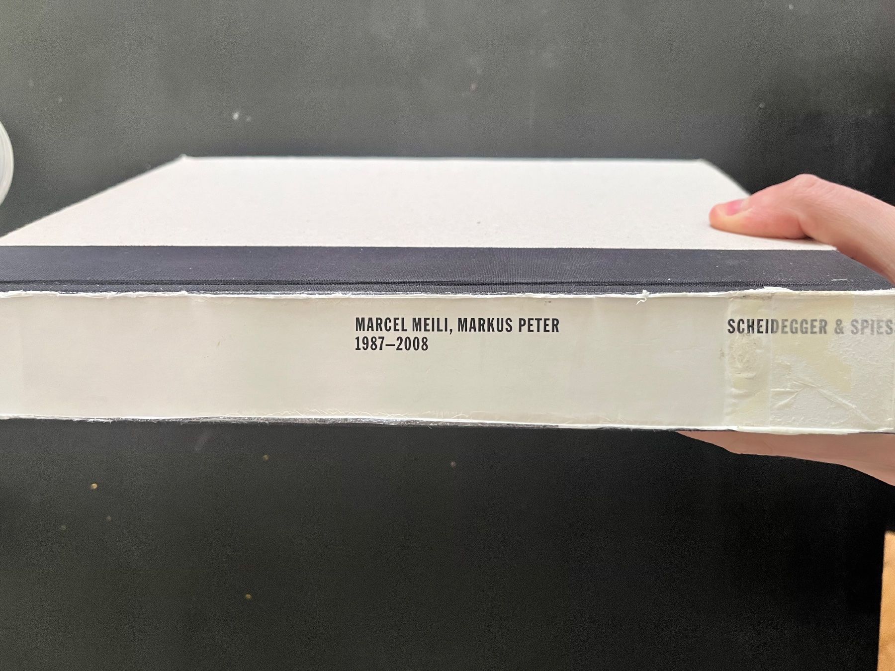 Libri: Marcel Meili, Markus Peter 1987–2008 – Usato da Basel venduto da daw_kd8z