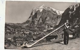 Alphornbläser