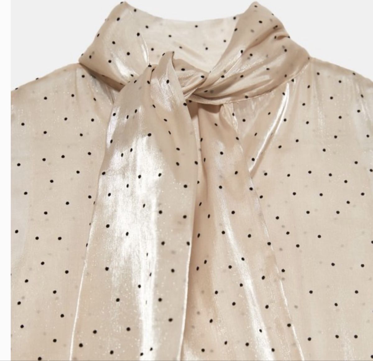 Zara Camicette: Zara shirt – Nuovo e nell'imballaggio originale da Opfikon venduto da ari_7yn2 1