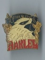 Harley-Davidson Placchette & Badge: Harley-Davidson Pin – Usato da Zürich venduto da t24_de